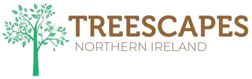 Treescapes Belfast LTD Taylan Capan